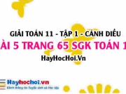 Giải bài 5 trang 65 Toán 11 tập 1 SGK Cánh Diều